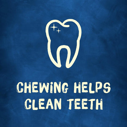 Purina Busy Bone Adult Dog Chew Bone Treats, Original - 10 ct. Pouch