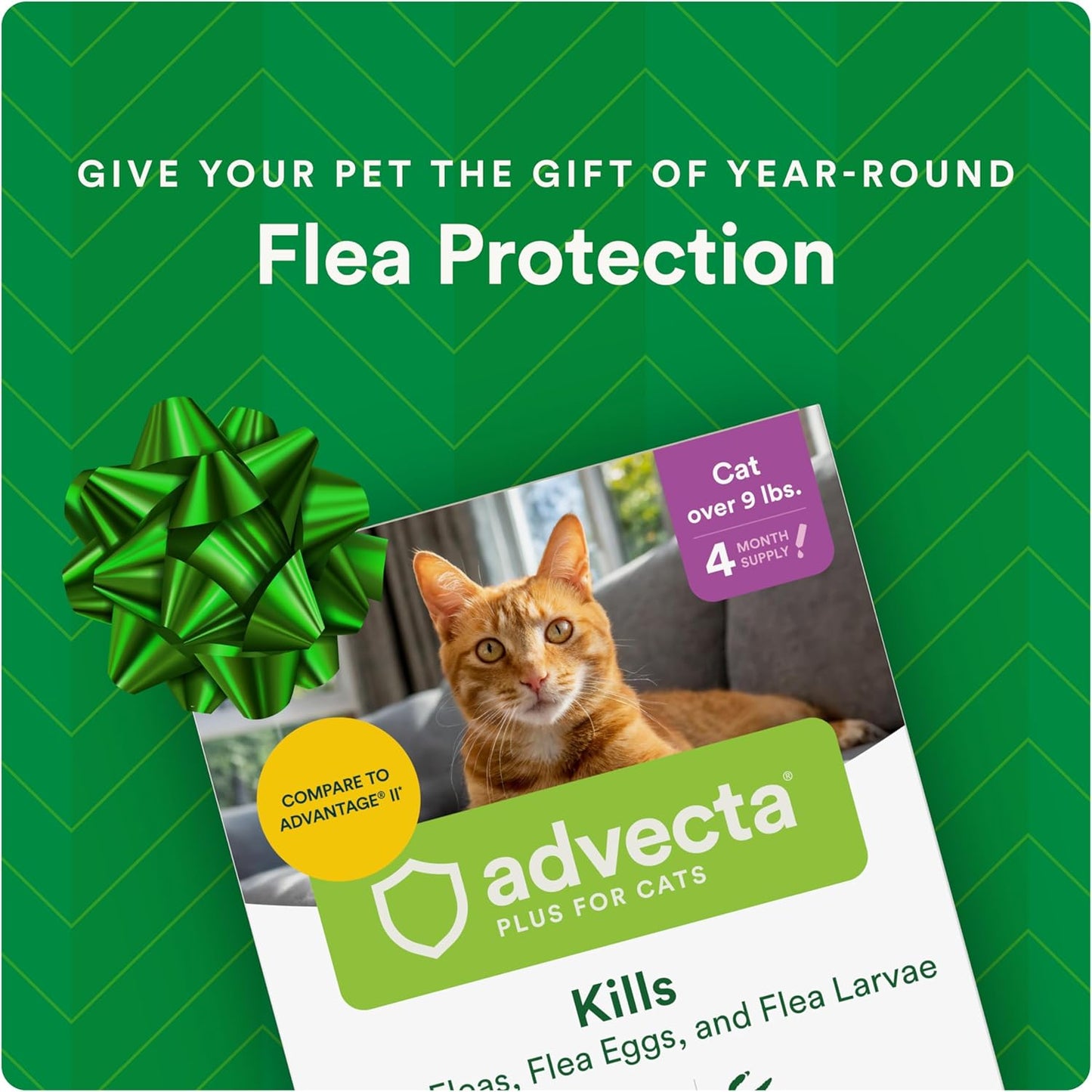 Advecta Plus Topical Large Cat Flea Treatment for Cats and Kittens, Flea Prevention and Control, Fast-Acting Waterproof Drops, 2-Month Supply