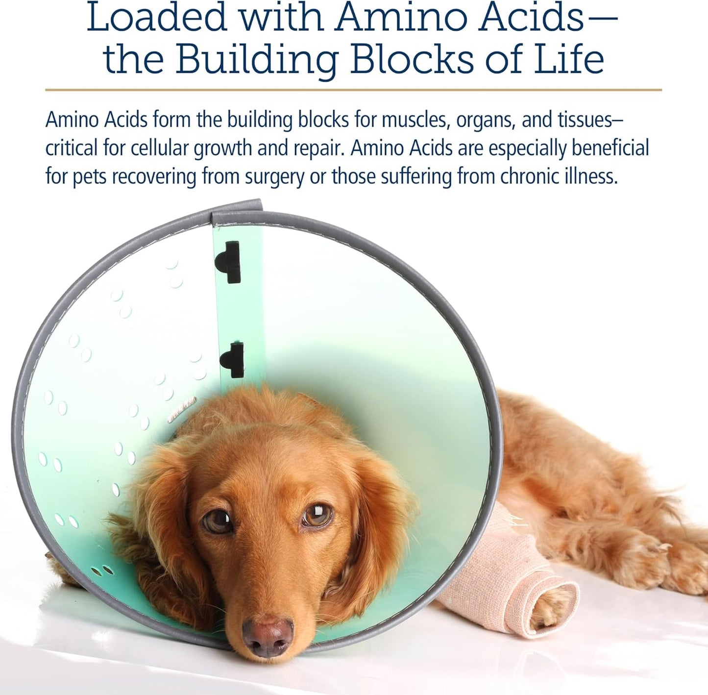 Rx Vitamins Amino B Plex Cat & Dog Supplement - Vitamin B Complex Liquid Plus Amino Acids for Dogs & Cats - Appetite Booster and Weight Gainer Cat & Dog Vitamins - 4 oz