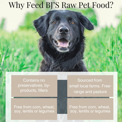 BJ'S RAW PET FOOD Freeze Dried Basic Complete & Balanced Dog Food | Chicken & Beef High-Protein Meal for Optimal Health | Made in USA, 14-Ounce