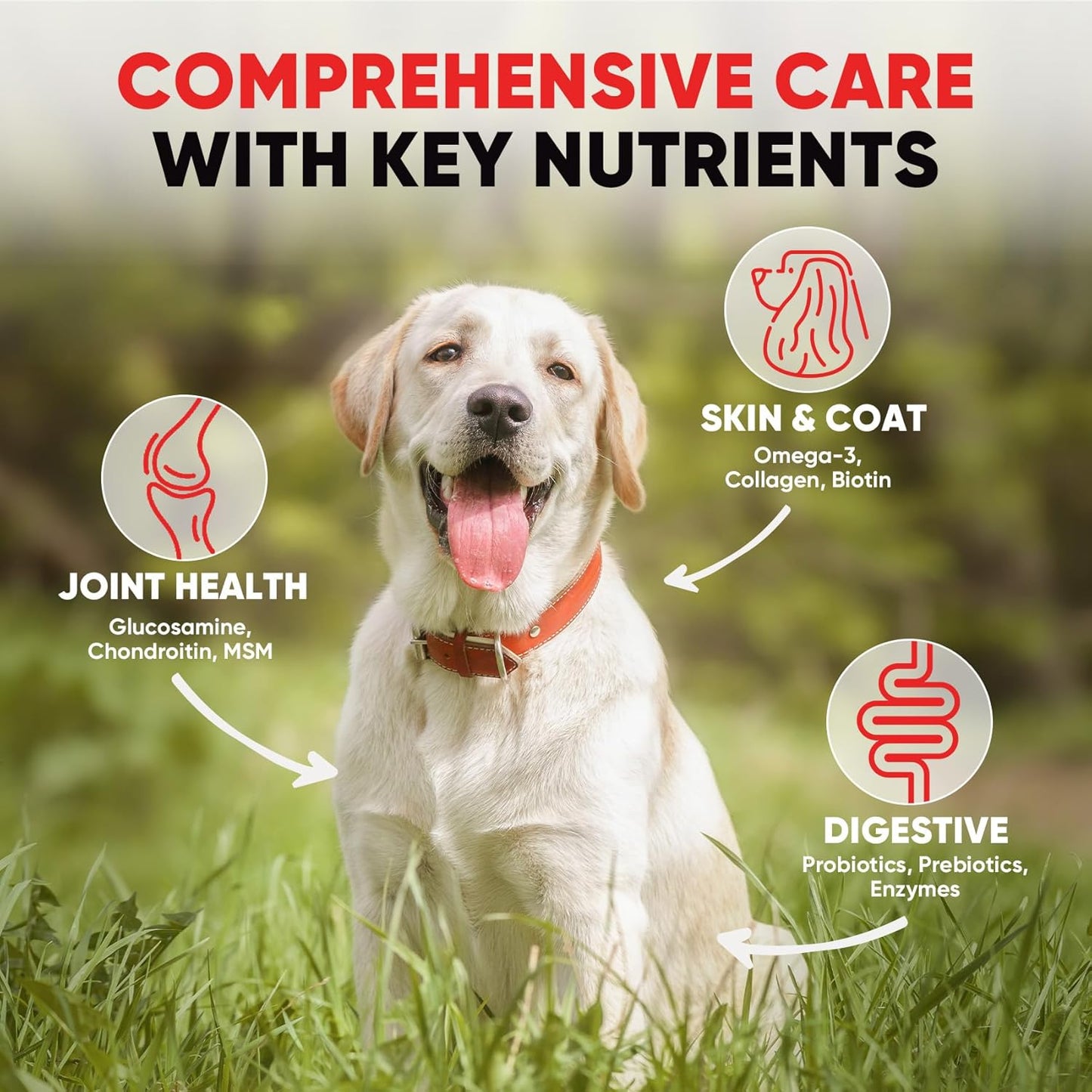 Dog Multivitamin Soft Chews – 10-in-1 Complete Wellness for Joints, Skin & Digestion