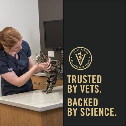 Purina Pro Plan LiveClear Dry cat Food for Kittens Cat Allergen Reducer Chicken and Rice Formula - 5.5 lb. Bag