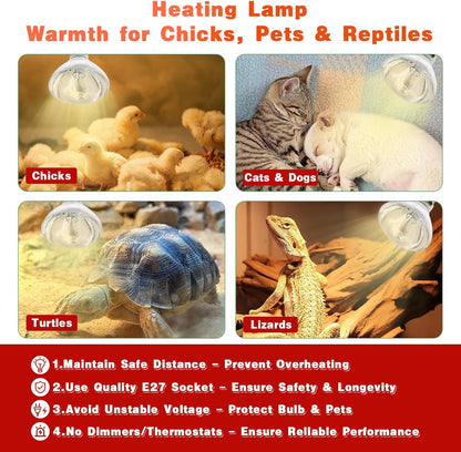 Heat Lamp Bulbs for Chickens Infrared Heat Lamp 250W Incandescent Spotlight for Brooder Coops Pets Chicks Reptiles Food Service (2 Packs)