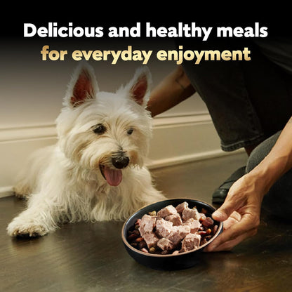 Cesar Wet Dog Food Classic Loaf in Sauce, Breakfast and Dinner with Grilled Steak & Eggs Flavor, and Chicken & Liver Flavor, 3.5 oz. Easy Peel Trays, Variety Pack 24 Count (Pack of 1)