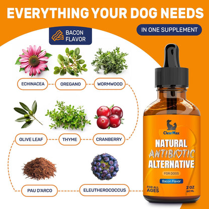 Dog Antibiotics for Infections, Allergies, Coughs – Natural Antibiotics for Dogs with Cranberry Provide Urination & Digestion Care – Natural Ingredients + Bacon Flavor – 2 Oz