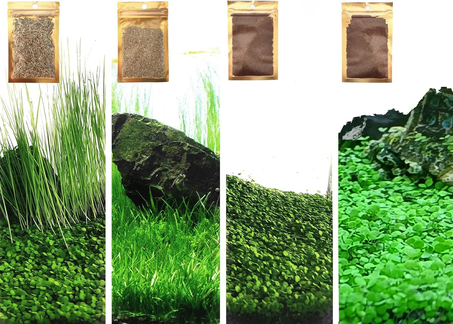 4 Bags Aquarium Plant S.e.e.ds, not Artificial Plastic Plant, Fish Tank Live Grass for All Substrate (0.36ozTiny+0.36oz Long+0.36oz Short+0.36oz Big Dual) ZQV-010