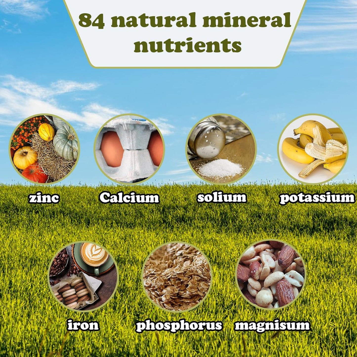 2 Pack Himalayan Salt Lick Natural Minerals Block on Rope for Horses,Cattles,Deer,Goat and Other Livestock Long Lasting Original Pink Salt Lick (4.8-6.6 lbs)