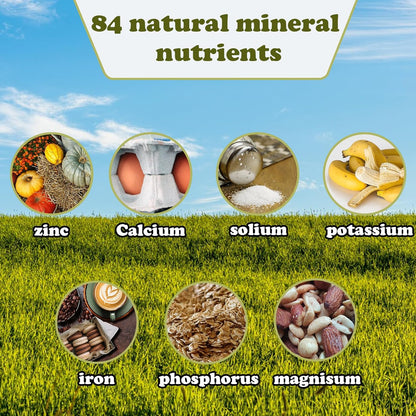 2 Pack Himalayan Salt Lick Natural Minerals Block on Rope for Horses,Cattles,Deer,Goat and Other Livestock Long Lasting Original Pink Salt Lick (4.8-6.6 lbs)