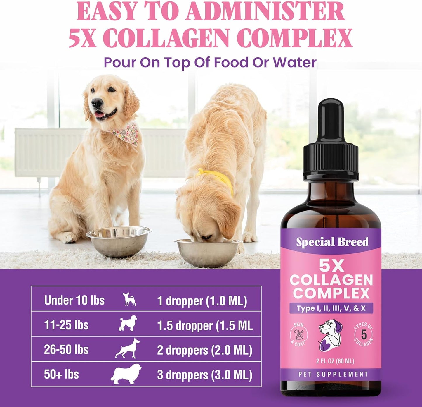 Premium Collagen for Dogs - Liquid Support for Joints, Skin, Coat, Bone, Immune System & HIPS - Collagen Supplement - Made in USA - 2oz