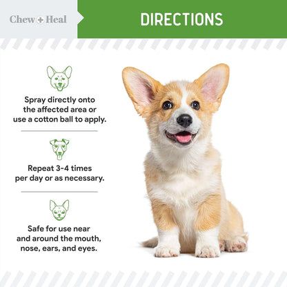 Soothe & Heal Fast - Natural Dog Wound Spray for Cuts, Hot Spots & Itchy Skin - Non-Toxic Hypochlorous Acid - Sting-Free Relief Made in USA, 4 oz