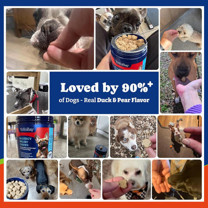 Dog Allergy Relief Chews – 70 Count + 180 Count Bundle for Long-Term Allergy & Immune Support