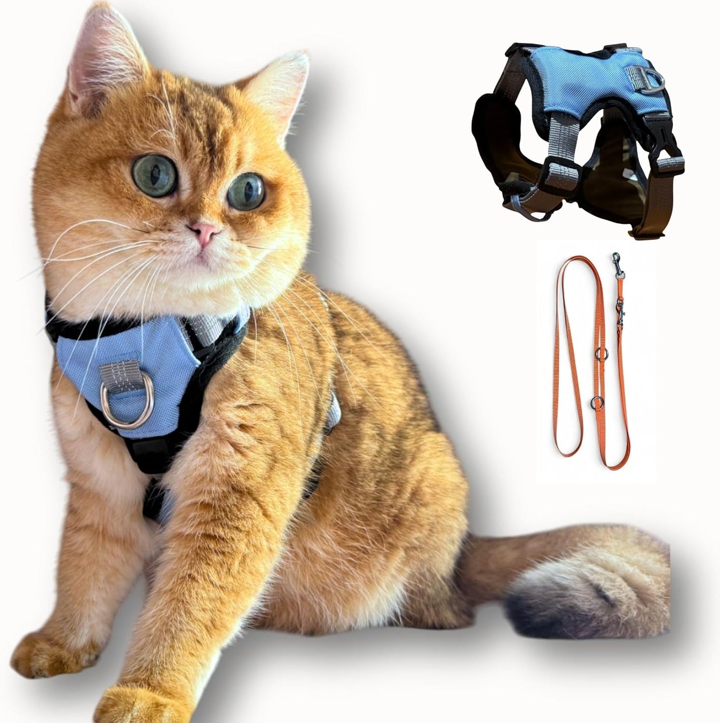 Cat 5-Point Adjustable Harness and Leash Set, Sky Blue Polyester, 5-Point Adjustable Vest with Reflective Lines Prefect for Outdoor Soft Comfortable (Small)