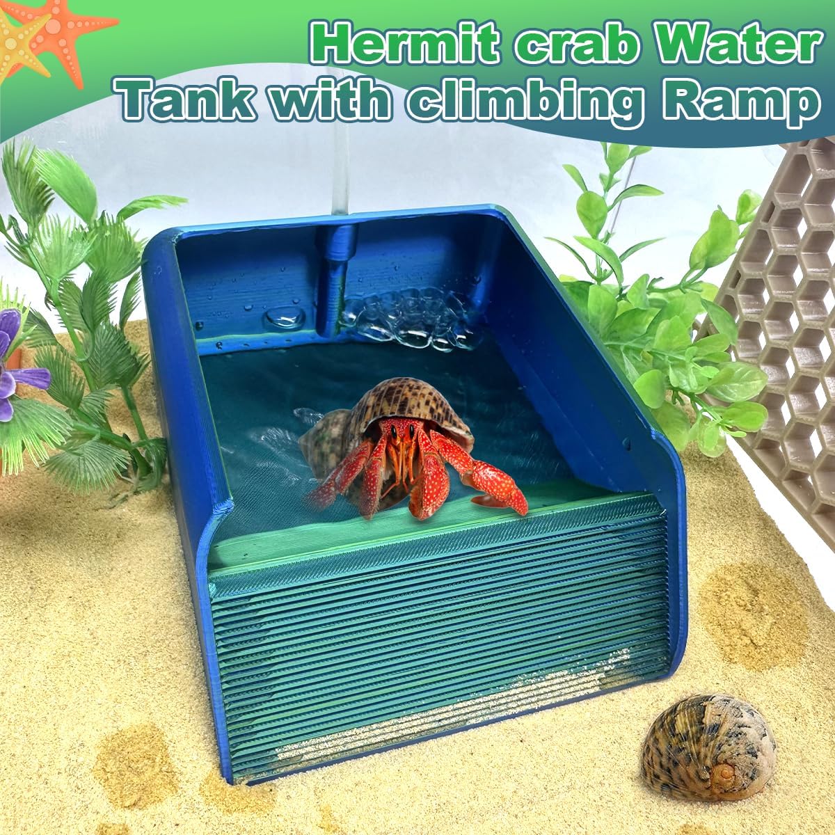 Hermit Crab Water Bowl with Climbing Ramp, Reptile Feeding Water Dish Tank Accessories, Suitable for Hermit Crab Bearded Dragon Lizard Tortoise Frog Gecko (Navy Blue)