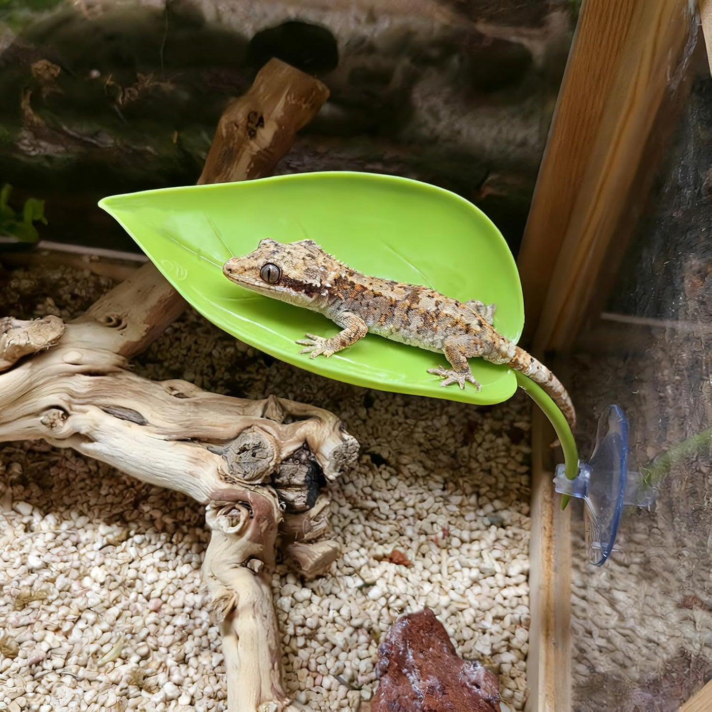 Crested Gecko Tank Accessories 3 PCS Wall Climbing Gecko Toy Reptile Leaf Habitat Decor for Tree Frogs