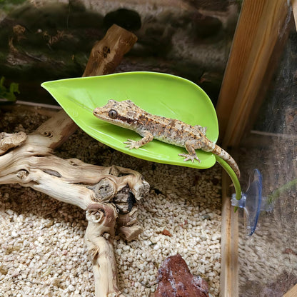 Crested Gecko Tank Accessories 3 PCS Wall Climbing Gecko Toy Reptile Leaf Habitat Decor for Tree Frogs