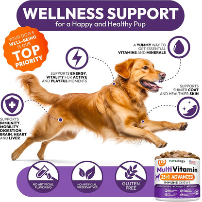 Dog Multivitamin Chewable - Dog Vitamins and Supplements with Glucosamine - 170 Chews - Hip & Joint, Pet Immune Support, Skin & Coat, Gut & Heart Health - Senior & Puppy Multivitamin Pet Supplement