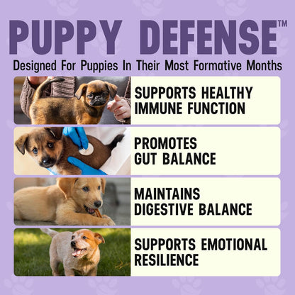 Better Dog Supplements Puppy Defense by Cesar Millan – Natural Immune Support Powder for Young Dogs – Immunity, Gut Balance, Digestive Health & Early Wellness – 4oz, (60-Day Supply)