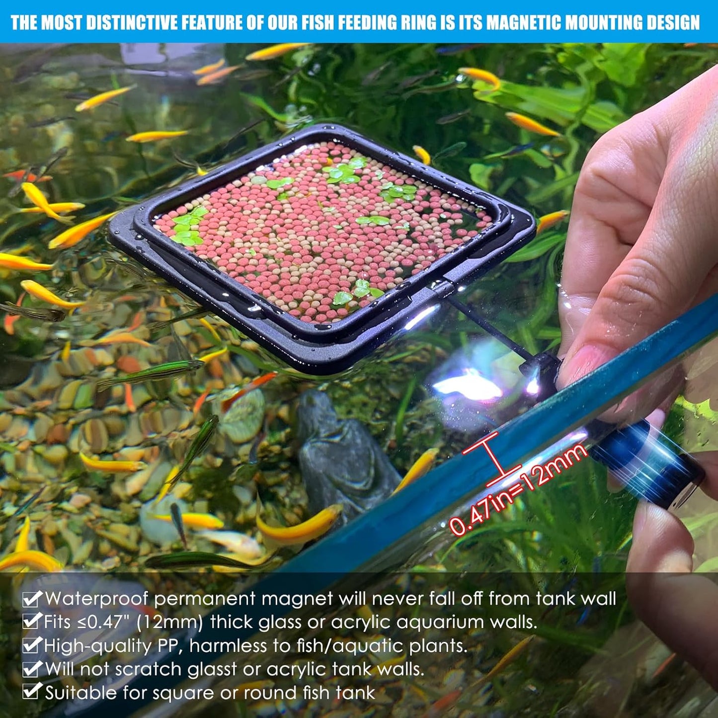 Magnetic Fish Feeding Ring, Floating Aquarium Feeder Ring for Fish Tank，Betta Feeding Ring for Goldfish, Guppy, Fresh/Saltwater Tanks- Prevents Food Scattering and Anti-Falling Off（Patented Product）