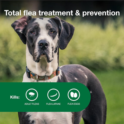 Bundle of Advantage II XL Dog| Dogs Over 55 lbs. | 4-Month Supply + Pet Protect Body Comfort+ Supplement for Dogs | 60 Chews