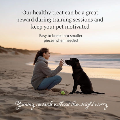 Freeze Dried Raw Dog Food, 100% Camel Meat, Allergy Relief, Monoprotein, Training Treats, Single Ingredient, for Puppies, Adults and Seniors, 3.17 oz Bag (3.17 oz, Pure Camel Meat)