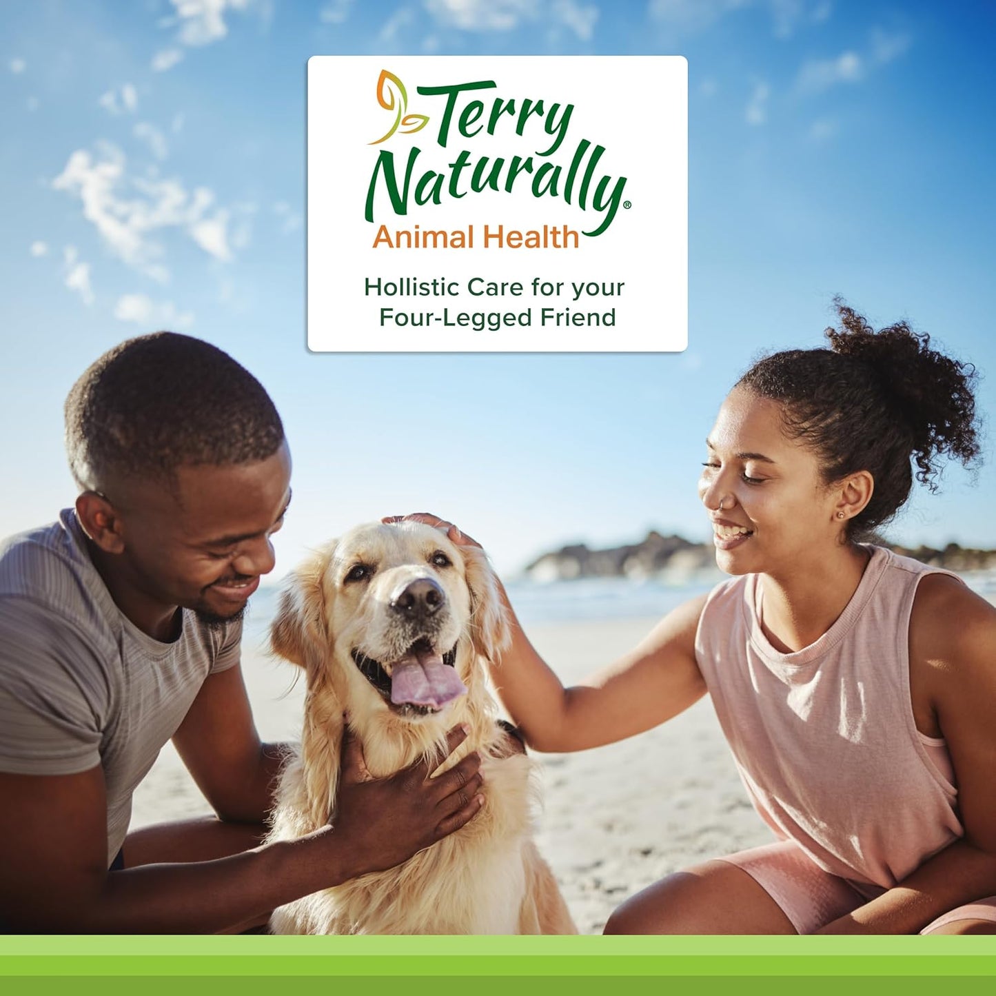 Terry Naturally Healthy Teeth & Gums - for Dogs- Supports Dental Health & Helps Freshen Breath - Supports Healthy Gums - 60 Tablets