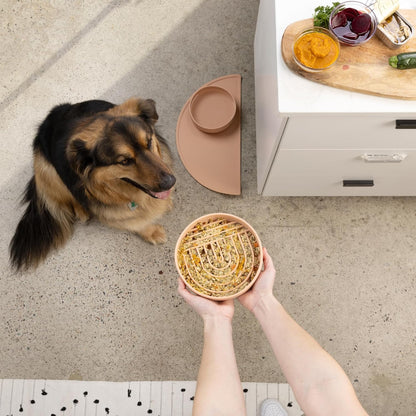Should We Go? Slow Feeder for Dogs & Puppies, The Slowdown Bowl Silicone Slow Eating, Modern Lick Mat Design, Reduces Gulping, Fits 2.5 Cups, 9.5” Across x 1.5” Tall, Mealtime Challenge, Large-Spruce