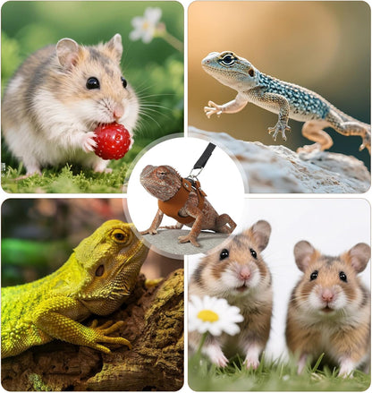 Bearded Dragon Leash and Harness Set, 3PCS Faux Leather Adjustable Bearded Dragon Harness and Leash, Traction Rope for Lizard Small Animal Outdoor Walking (Brown/S, M, L)