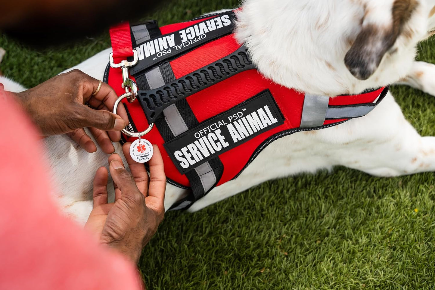 Support Pets The Only Official ESA™ Dog Harness – Adjustable No-Pull Dog Vest for Easy Pet Recognition with Reflective Straps – Soft, Padded & Comfortable for Training and Daily Use - XSmall