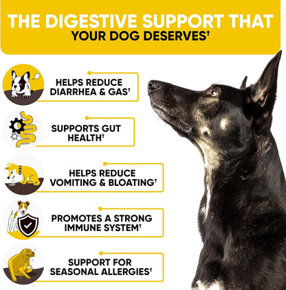 Probiotics Chews for Dogs w/Digestive Enzymes - Dog Probiotics to Support Gut Health, Alleviate Dog Itch, Soothe Itchy Skin, Dog Allergy Relief - Good for Immunity & Dog Itching Skin Relief -180 ct