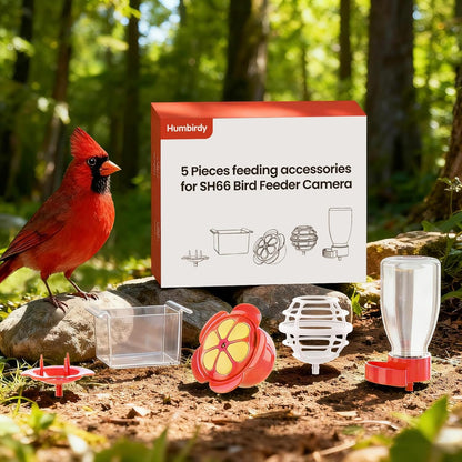 5-Piece Bird Feeder Set with Hummingbird Nectar Feeder, Fruit Fork, Water Bottle, Mealworm Container & Suet Ball Feeder - Squirrel-Proof Outdoor Feeding Accessories for Garden (Yard-Red)