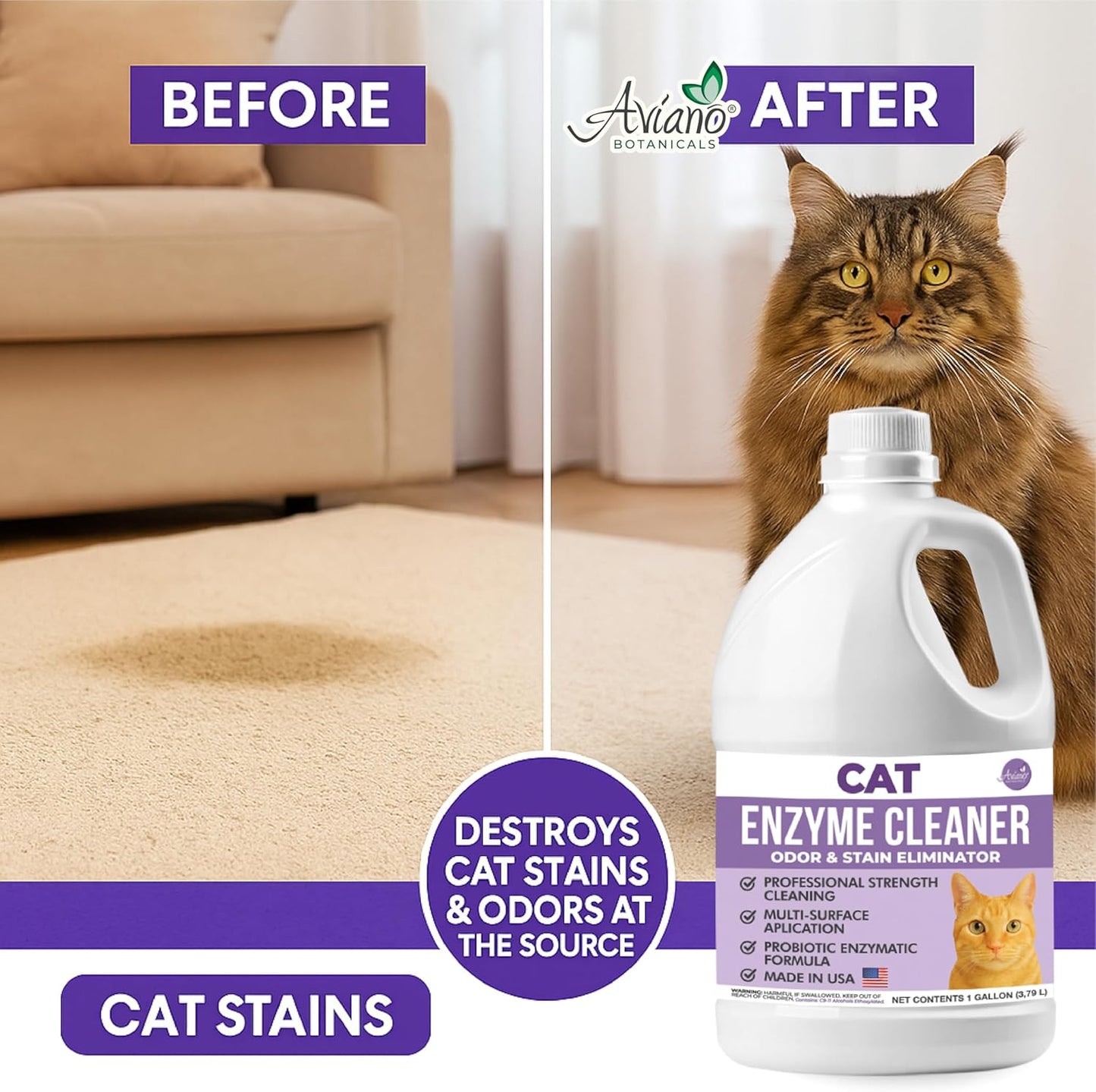 Aviano Cat Enzyme Cleaner – 1 Gallon – Made in USA – Odor Eliminator with Lemon Scent – Pet & Carpet Enzyme Cleaner for Cat Pee, Litter Boxes & Furniture