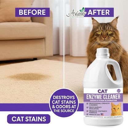 Aviano Cat Enzyme Cleaner – 1 Gallon – Made in USA – Odor Eliminator with Lemon Scent – Pet & Carpet Enzyme Cleaner for Cat Pee, Litter Boxes & Furniture