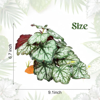 Reptile Plants for Terrarium, Amphibian Habitat Decor Plant, Bearded Dragon Tank Decorations, Artificial Plants for Gecko Lizard Chameleon Tortoise Ball Python Snake with Base - Fake Saxifrage