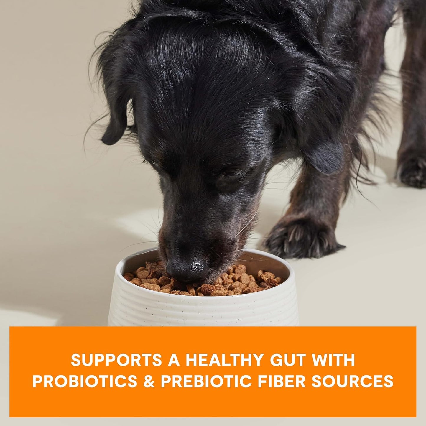 Open Farm, Epic Blend High Protein Dry Dog Food, Probiotic Coated & Bone Broth Infused Kibble with Air Dried Meat & Organs, Minimally Processed & Nutrient Dense, Chicken & Superfood Recipe, 18lb Bag