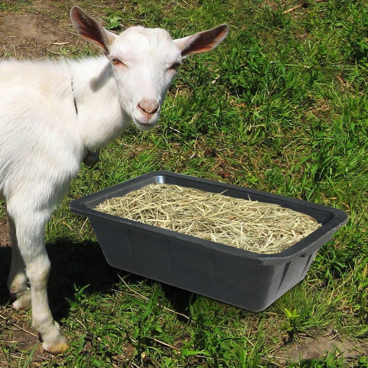 Livestock Feeder, Horse Trough, 10L Horse Feeding Trough, Animal Food Bowl, Rectangular, Feeding Troughs for Feedings Horses, Goats, Farm Animals, Cats, Lightweight Bucket