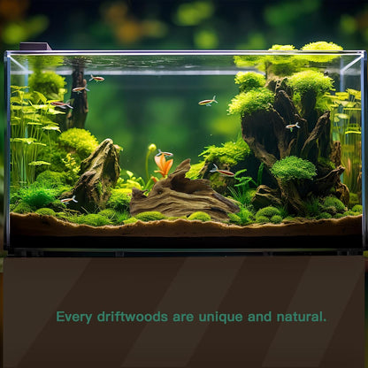 LYPHARD AQUARIUMS Driftwood for Aquarium, 3 Pieces 6-10" Natural Small Drift Wood Fish Tank Assorted Branch Decorations Pieces for Reptile Hide