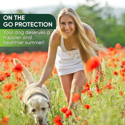 4 Pack Flea and Tick Collar for Dogs, 8-Month Protection, Flea Tick Prevention for Dogs (Gray Collar, 4 Pack)