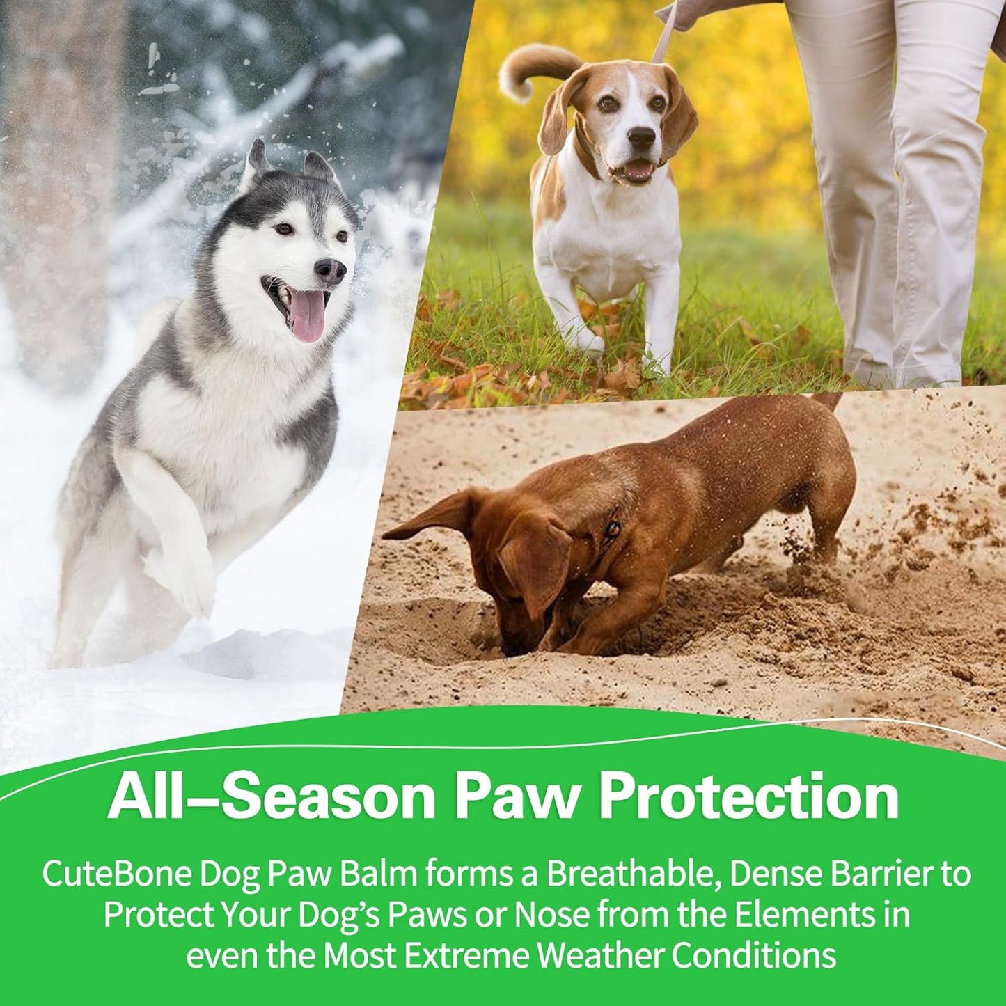 CuteBone Dog Paw Balm and Pet Glove Wipes Kit