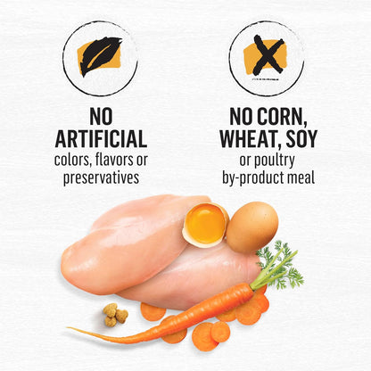 Purina Beyond Grain Free White Meat Chicken and Egg Recipe Natural Cat Food High Protein Cat Food Dry Formula - 5 lb. Bag