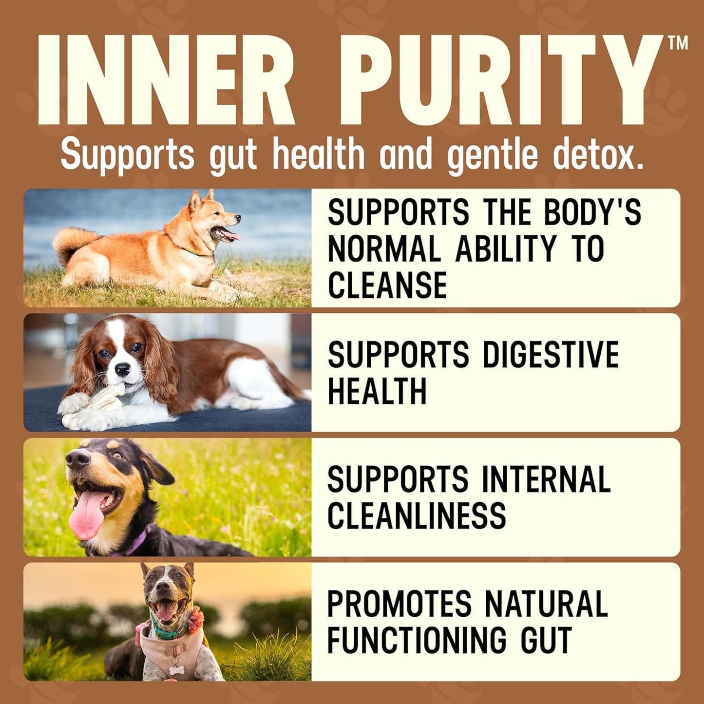 Better Dog Supplements Inner Purity by Cesar Millan – Natural Digestive, Dewormer & Gut Health Powder for Dogs – Internal Cleanliness, Detox & Bowel Movement Support – 3.4oz, (60-Day Supply)