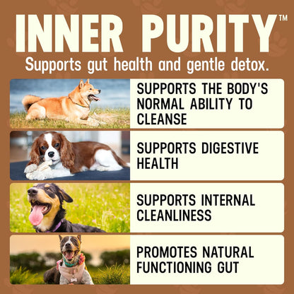 Better Dog Supplements Inner Purity by Cesar Millan – Natural Digestive, Dewormer & Gut Health Powder for Dogs – Internal Cleanliness, Detox & Bowel Movement Support – 3.4oz, (60-Day Supply)