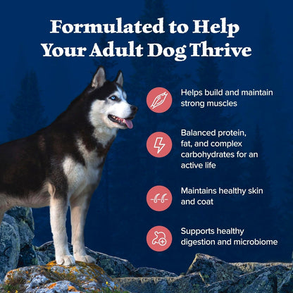 Blue Buffalo Wilderness Adult High-Protein Dry Dog Food with Real Salmon, Grain-Free, Made in the USA with Natural Ingredients, Salmon, 24-lb Bag