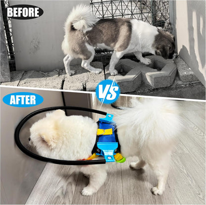 Blind Dog Halo Harness, Protective Halo Dog Collar for Blind Dogs, Confidence Building Harness Guiding Device