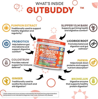 Gut Health Probiotics for Dogs + Pumpkin Colostrum Digestive Enzymes Ginger Slippery Elm Licorice Inulin Fiber Soft Chews Dog Probiotic Beef Flavor Digestion Supplement Treat Bites Large & Small Pets