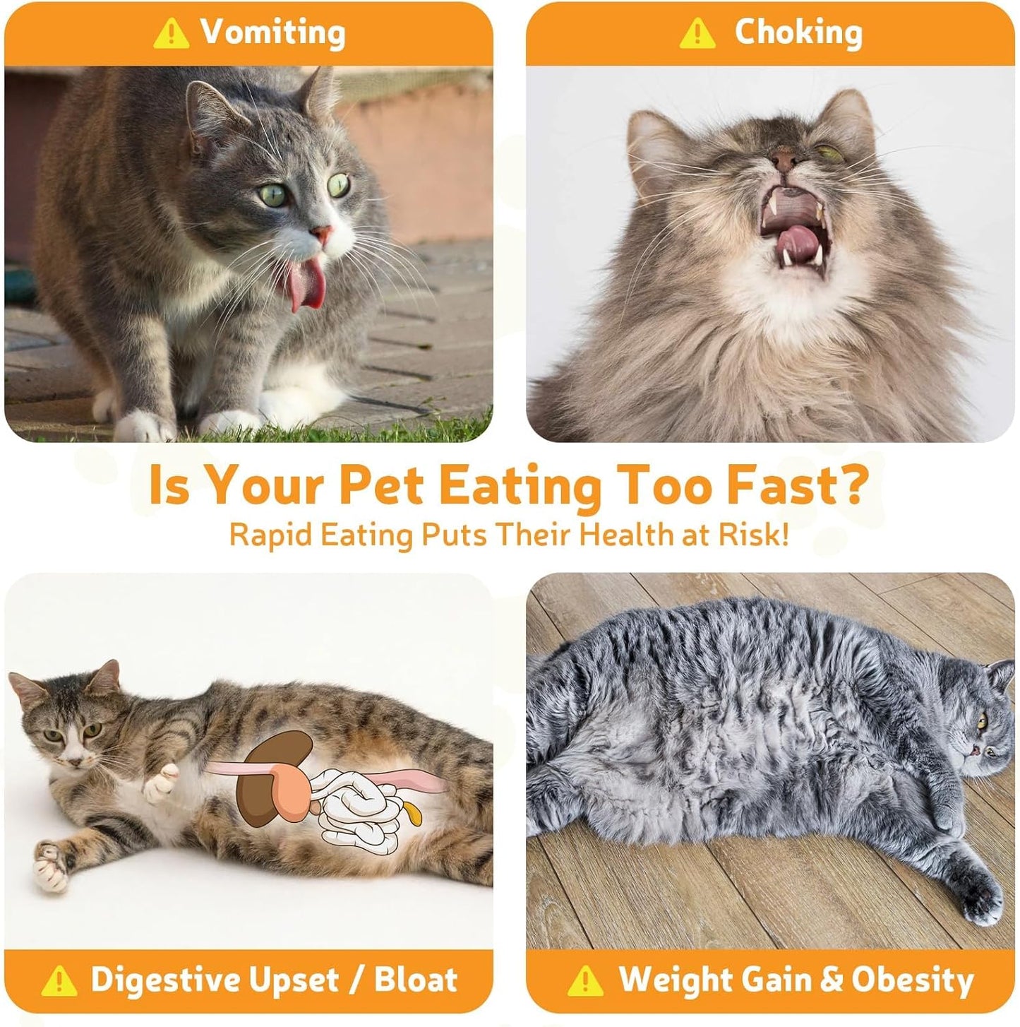 Ceramic Slow Feeder Cat Bowl 6.3'' Wide, Shallow Slow Eating Cat Bowl for Dry and Wet Food, Anti Gulping Pet Puzzle Feeder for Cats and Small Dogs, Dishwasher Safe (White)