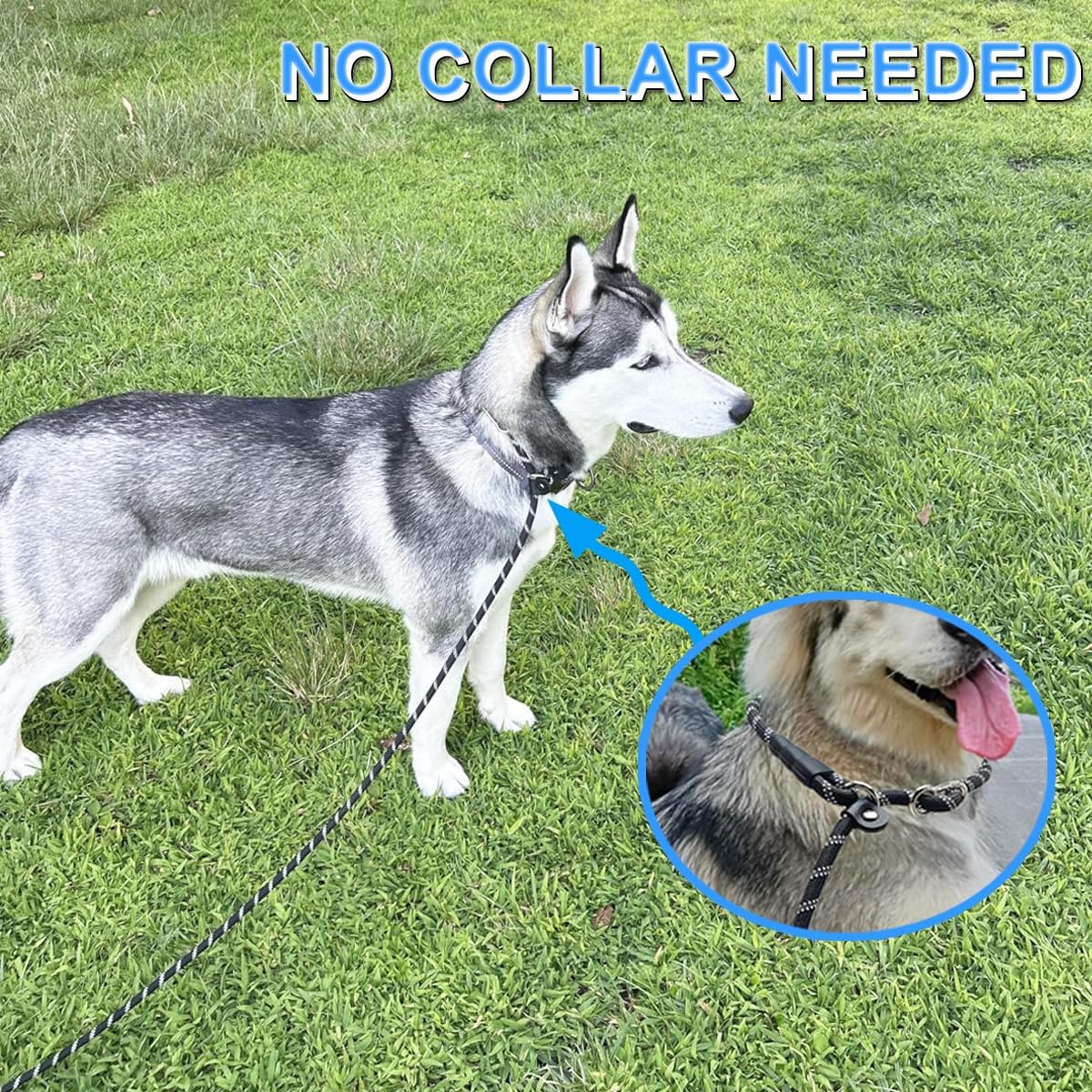 20 FT Long Slip Leash with Padded Handle + 6 FT Slip Lead Small Dog Training Leash, Black