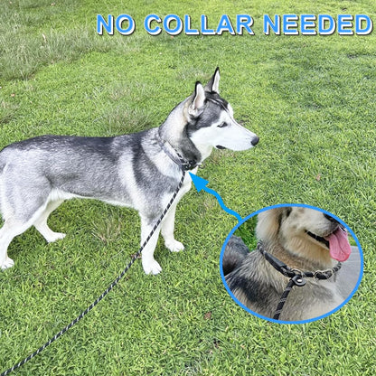 20 FT Long Slip Leash with Padded Handle + 6 FT Slip Lead Small Dog Training Leash, Black