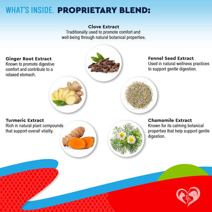 Natural Intestinal Defense for Dogs, Puppies & Cats, Kitten – Herbal Cleanse with Wormwood, Black Walnut – Promotes Healthy Gut – Advanced Broad Spectrum Formula for Large, Medium Small para Perros