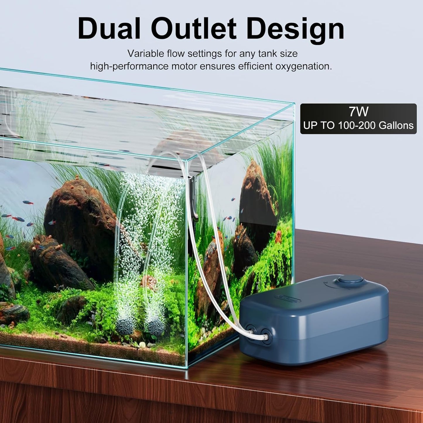 Aquarium Air Pump, Dual Outlet Quiet Oxygen Aerator Pump for Fish Tanks, Adjustable Air Valve Complete Bubbler Kit for Small Aquariums