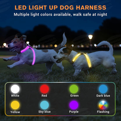 LED Light Up Dog Harness - Rechargeable & Reflective Dog Vest, 7 Lighting Modes, 3-Layer Air Mesh for Breathability & Comfort, Adjustable Illuminated Leash for Small to Large Dogs Walking at Night